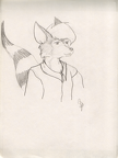 Image15