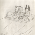 Image16