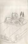 Image16