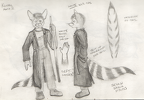 Image21