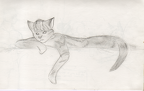 Image77