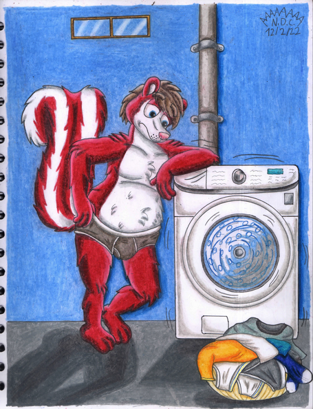 Eric_laundry.png