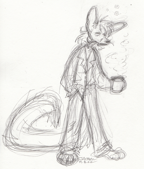 commission-kendall-ringtail-mug-pose-sketch.png