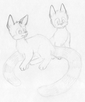 jm-Kendall Lynn ferals1
