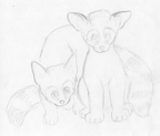 jm-Kendall Lynn ferals2