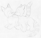 jm-Kendall Lynn ferals4