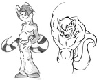 raccooncube for sirkain