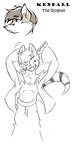 raccooncube gift for sirkain color